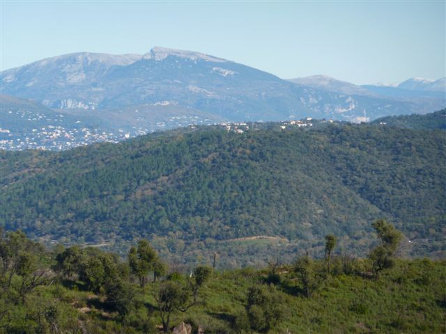 BAGNOLS Paysage