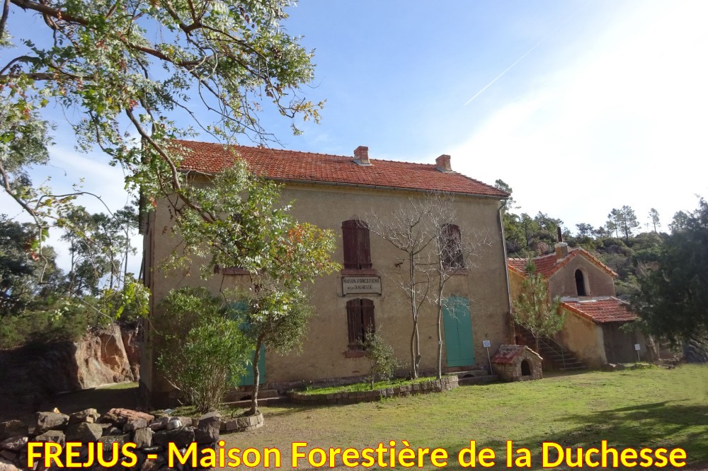 FREJUS Maison Forestiere de la Duchese 1