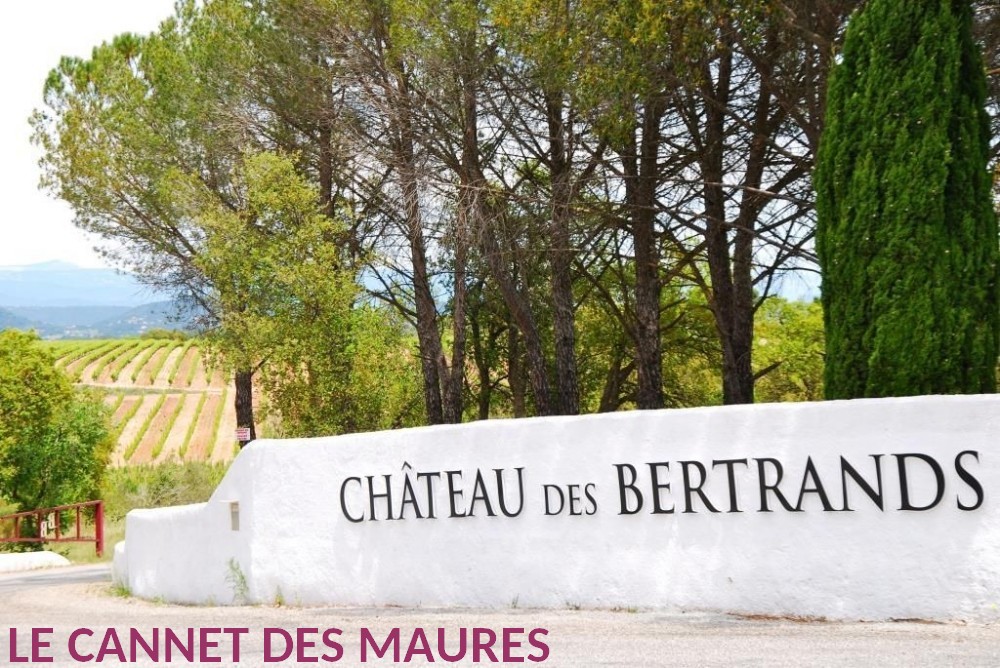 LE CANNET DES MAURES Chateau des Bertrands 01