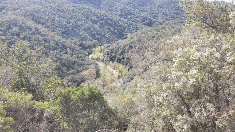 LES ARCS Foret des Apies MichBoul