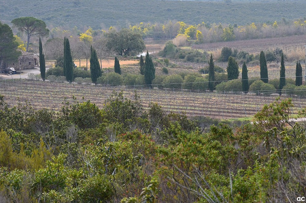 PUGET Les Terres Gastes 01