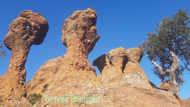 ROQUEBRUNE les Deux Freres  01