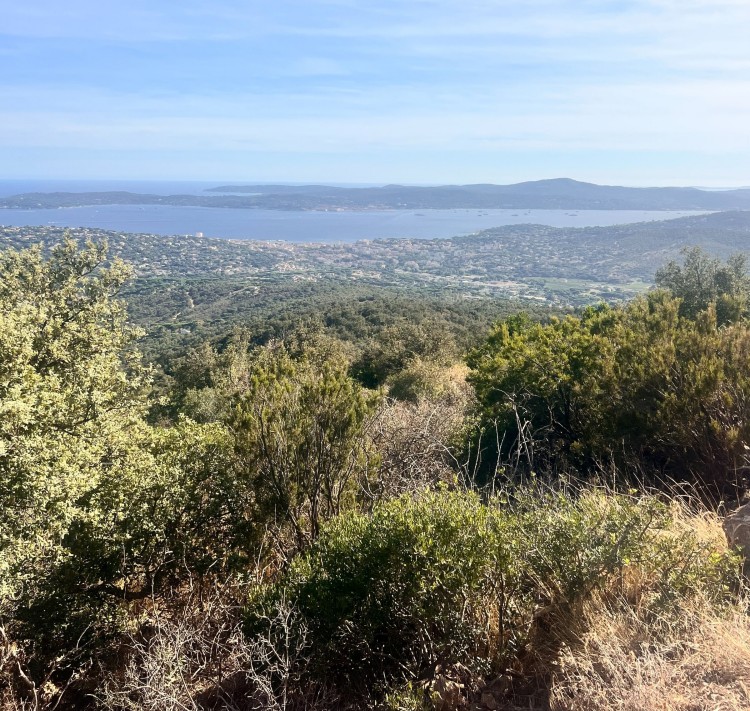 Sainte MAXIME le sentier du deffend 01