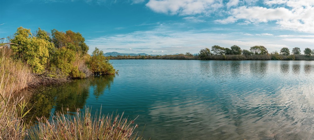 St AYGULF Etangs de villepey 3