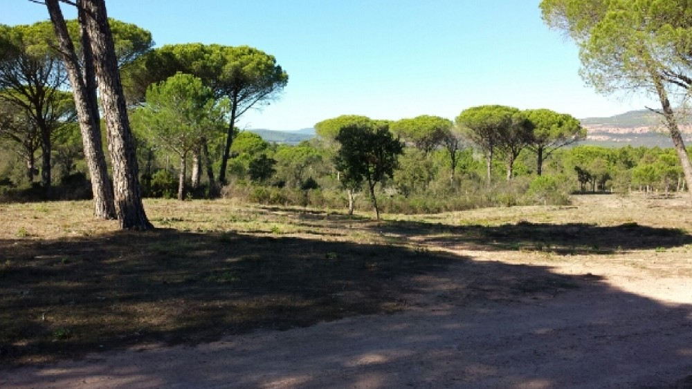LE MUY-Le Catcheou-01