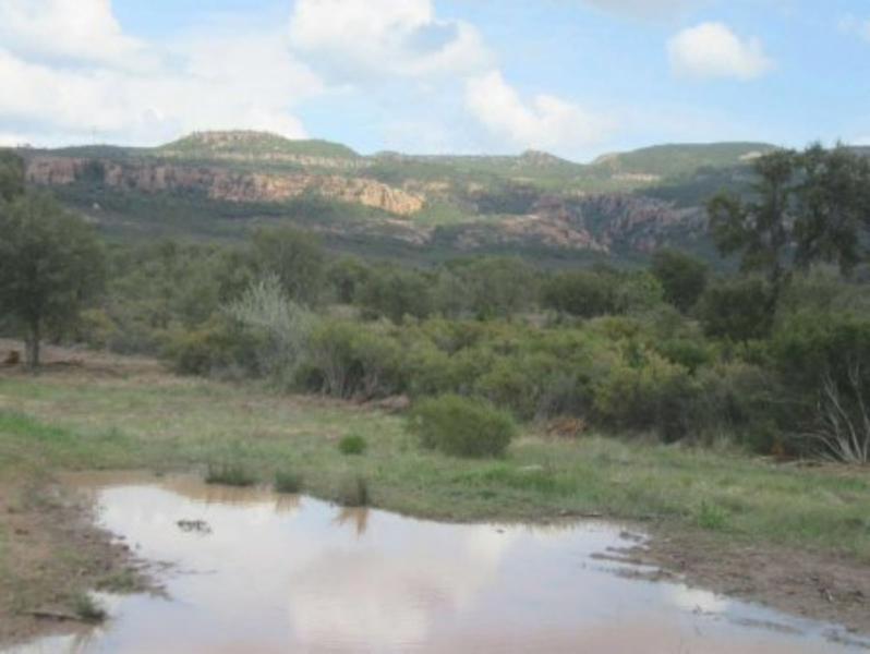 LE_MUY-Vallon_du_Leyron-01