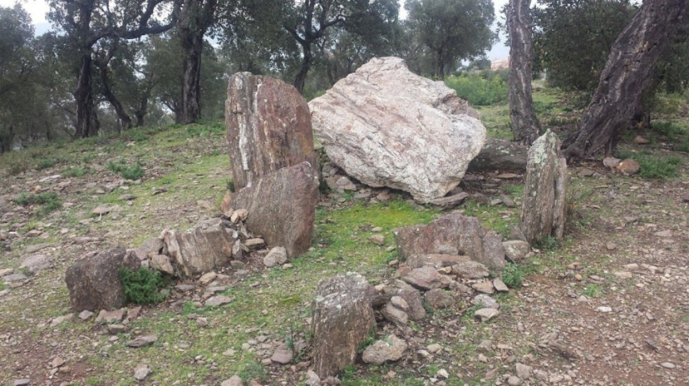 LES ISSAMBRES-Dolmens du bois de la Gaillarde-1