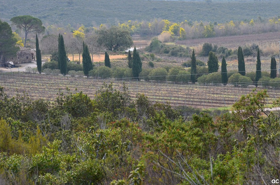 PUGET-Les_Terres_Gastes-01