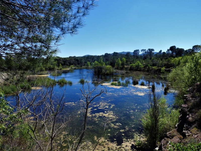 ROQUEBRUNE-Etang des Flacs-01