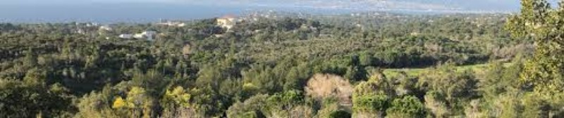 St RAPHAEL-Le Petit Caous-01