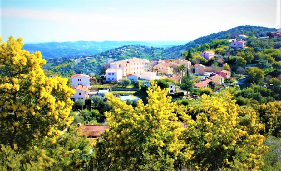 TANNERON-Village_et_mimosa-2